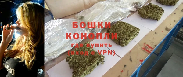spice Абаза
