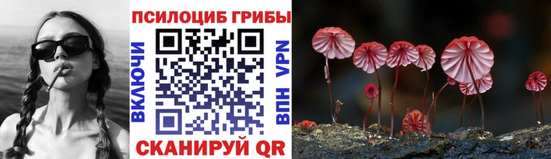 Псилоцибиновые грибы Cubensis Советск
